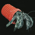 crab anthropocene