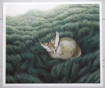 print fox moki