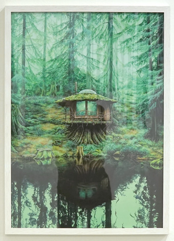 print wood cabin moki